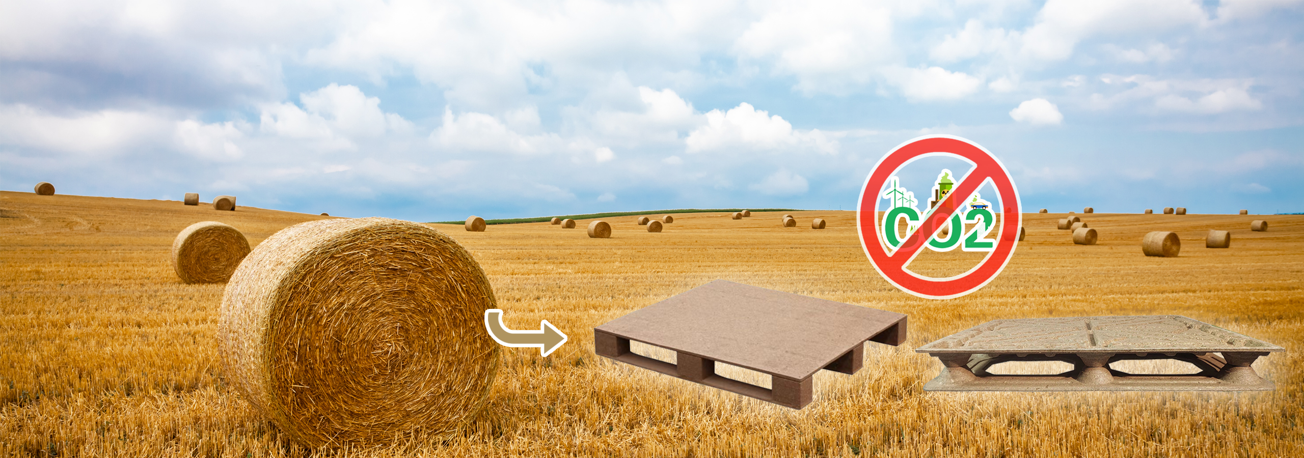 Zero Carbon Emmission from Straw to Pallets